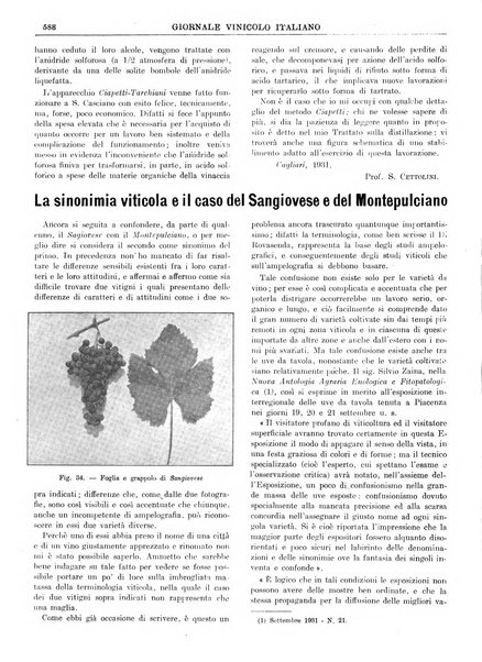 Giornale vinicolo italiano