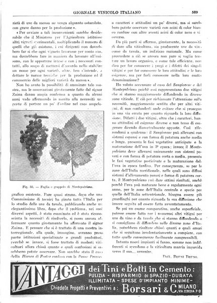 Giornale vinicolo italiano