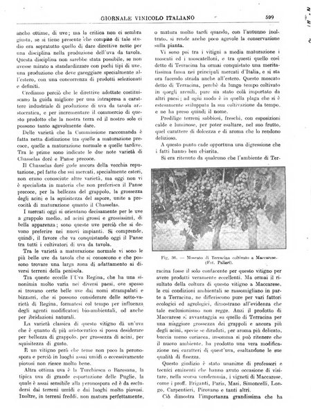 Giornale vinicolo italiano