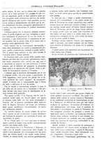 giornale/TO00185283/1931/unico/00000835