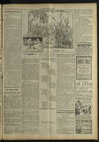giornale/TO00185494/1916/13/3