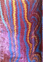 giornale/TO00185631/1710/unico/00000538