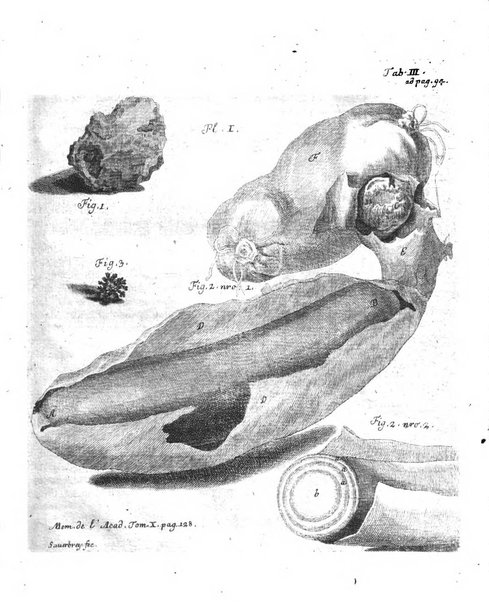 Histoire de l'Academie royale des sciences et des belles-lettres de Berlin