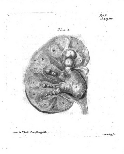 Histoire de l'Academie royale des sciences et des belles-lettres de Berlin