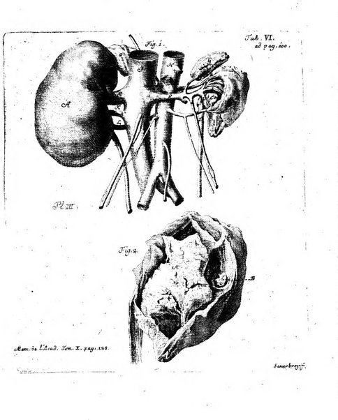 Histoire de l'Academie royale des sciences et des belles-lettres de Berlin