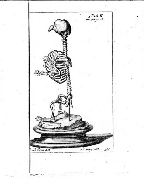 Histoire de l'Academie royale des sciences et des belles-lettres de Berlin