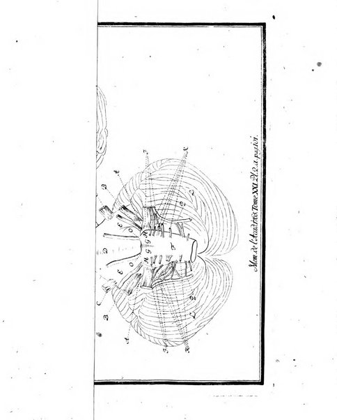 Histoire de l'Academie royale des sciences et des belles-lettres de Berlin