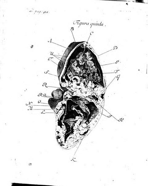 Historia et commentationes Academiae electoralis scientiarum et elegantiorum literarum Theodoro-Palatinae