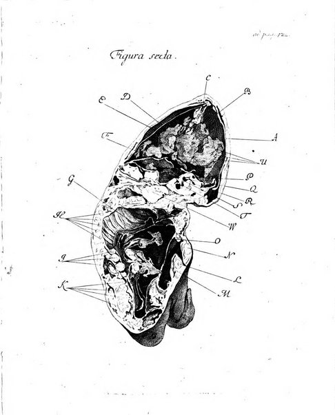 Historia et commentationes Academiae electoralis scientiarum et elegantiorum literarum Theodoro-Palatinae