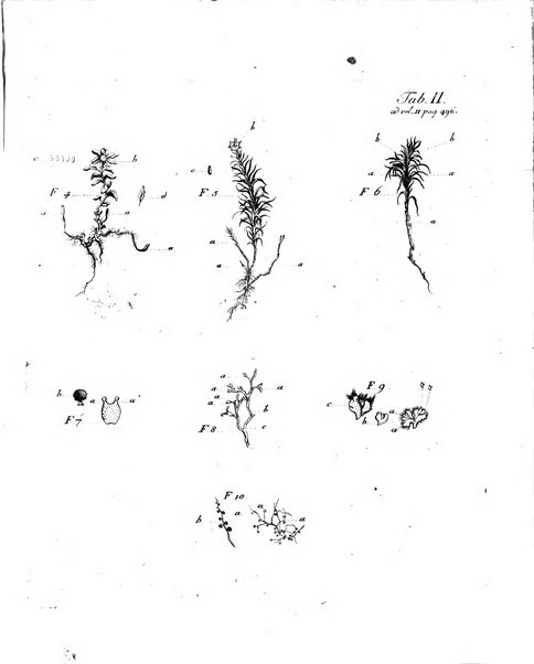 Historia et commentationes Academiae electoralis scientiarum et elegantiorum literarum Theodoro-Palatinae