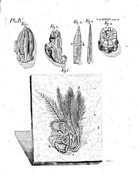 Historia et commentationes Academiae electoralis scientiarum et elegantiorum literarum Theodoro-Palatinae