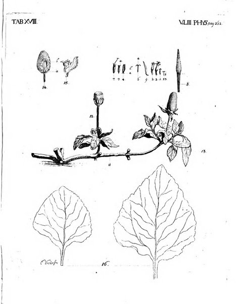 Historia et commentationes Academiae electoralis scientiarum et elegantiorum literarum Theodoro-Palatinae