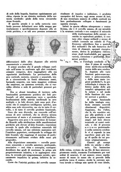 Humana rivista popolare mensile d'igiene