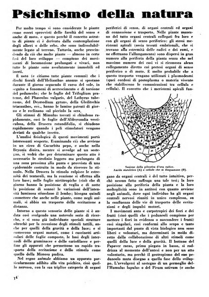 Humana rivista popolare mensile d'igiene