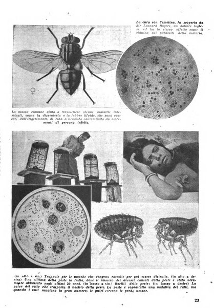 Humana rivista popolare mensile d'igiene