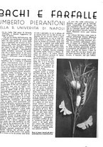 giornale/TO00185878/1940-1941/unico/00000113