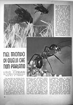 giornale/TO00185878/1940-1941/unico/00000536