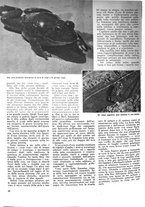 giornale/TO00185878/1940-1941/unico/00000612