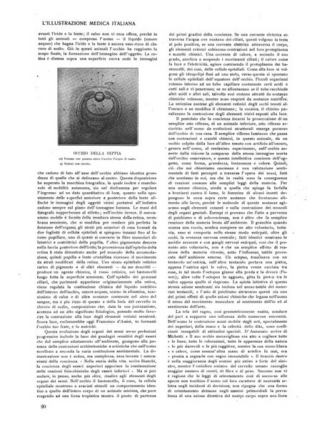 L'illustrazione medica italiana medicina, biologia, psicologia, patologia nell'arte...