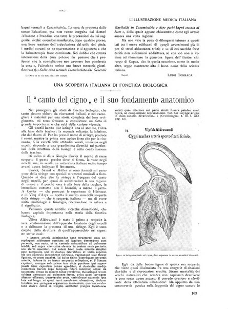 L'illustrazione medica italiana medicina, biologia, psicologia, patologia nell'arte...