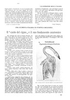 giornale/TO00185889/1921/unico/00000229