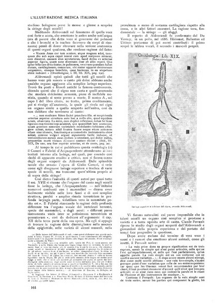 L'illustrazione medica italiana medicina, biologia, psicologia, patologia nell'arte...