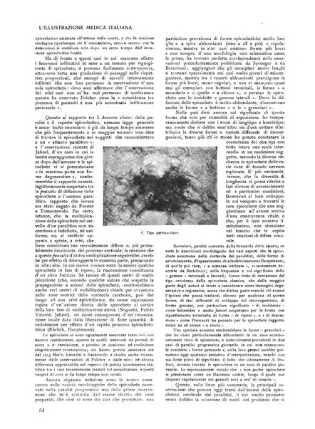 L'illustrazione medica italiana medicina, biologia, psicologia, patologia nell'arte...