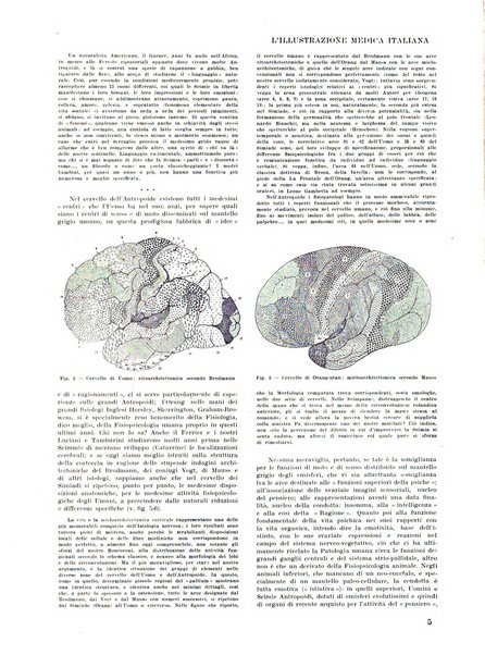 L'illustrazione medica italiana medicina, biologia, psicologia, patologia nell'arte...