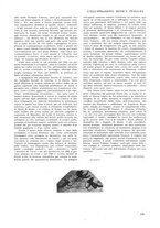 giornale/TO00185889/1924/unico/00000155