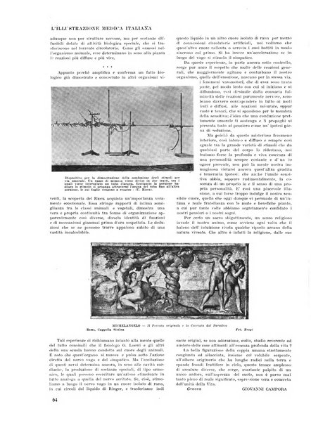 L'illustrazione medica italiana medicina, biologia, psicologia, patologia nell'arte...