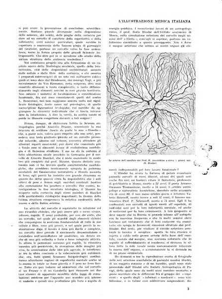 L'illustrazione medica italiana medicina, biologia, psicologia, patologia nell'arte...