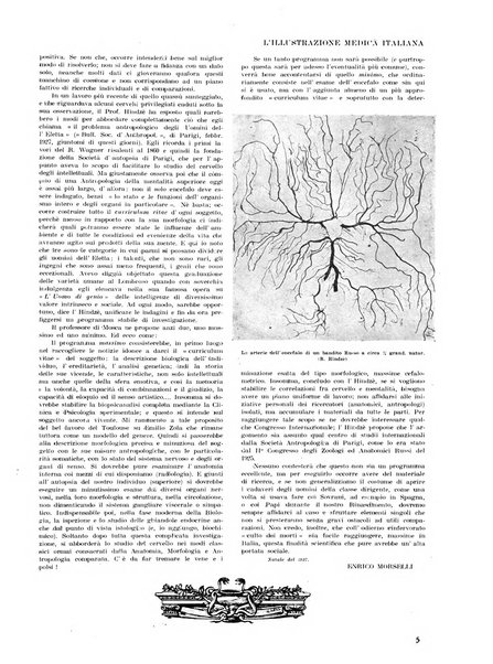 L'illustrazione medica italiana medicina, biologia, psicologia, patologia nell'arte...