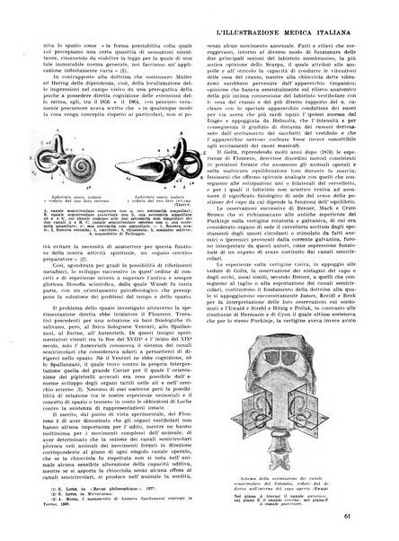 L'illustrazione medica italiana medicina, biologia, psicologia, patologia nell'arte...