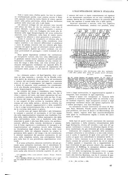 L'illustrazione medica italiana medicina, biologia, psicologia, patologia nell'arte...