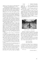 giornale/TO00185889/1931/unico/00000101