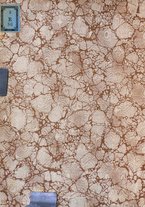 giornale/TO00185895/1908/v.45/00000002