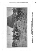 giornale/TO00185895/1908/v.45/00000059