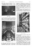 giornale/TO00186045/1933/unico/00000345