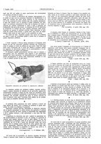 giornale/TO00186241/1924/unico/00000321