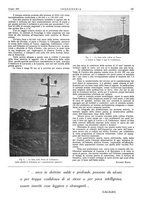 giornale/TO00186241/1927/unico/00000239