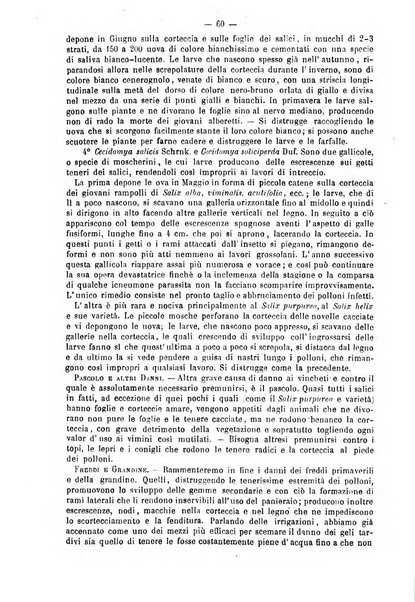 L'istitutore giornale della societa d'istruzione e di educazione dedicato ai maestri, alle maestre, ai padri di famiglia ed ai comuni