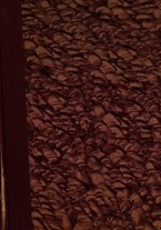 giornale/TO00186530/1900/v.2/00000001