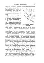 giornale/TO00186530/1904/v.1/00000331