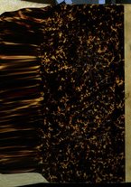 giornale/TO00186530/1904/v.1/00000720