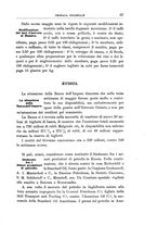 giornale/TO00186530/1904/v.2/00000093