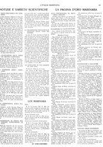 giornale/TO00186578/1922/unico/00000077