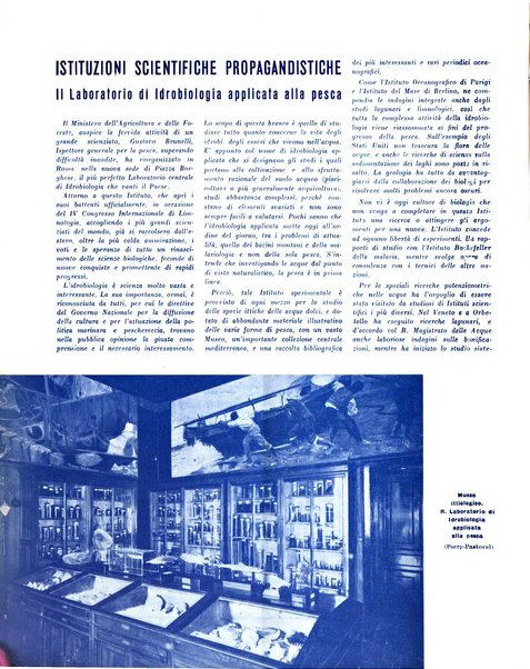 L'Italia marinara giornale della Lega navale italiana