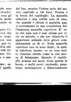 giornale/TO00186578/1939/unico/00000201