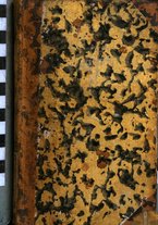 giornale/TO00186972/1788/Jan-Avr/00000003