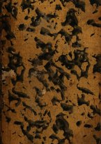 giornale/TO00186972/1789/Sep-Dec/00000001